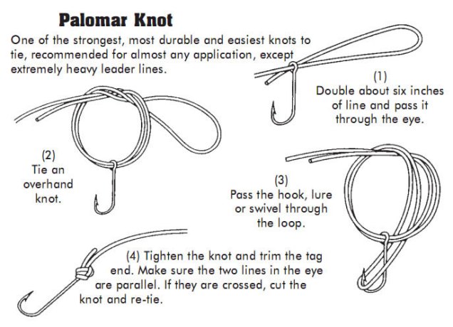 Fishing knots – Palomar Knot – arroyo city news
